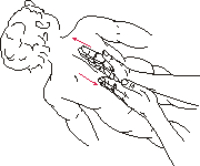 .2 (    )
